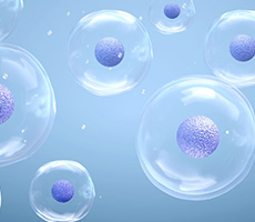 源于經典，細胞計數的新篇章